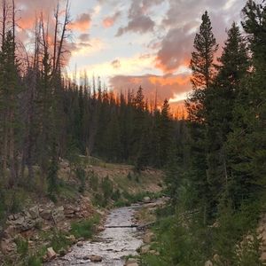 Meet your Posher, Roy